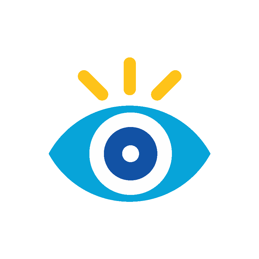 Vision